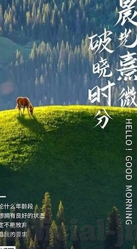 九游app 官方-九游APP官方，打造你的掌上游戏乐园