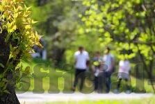 足球开奖比分-足球开奖比分，一场数据与激情交织的盛宴